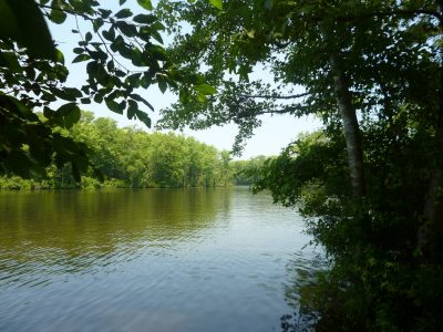 The Gates County tract is between 30,000-acres of the Chowan Swamp Game Lands owned by the state and 3,100-acres of the South Quay Nature Preserve owned by Virginia Department of Conservation and Recreation. Photo: Coastal Land Trust