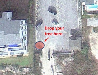 In Pine Knoll Shores, Christmas trees may be dropped off in the southwest corner of the Iron Steam Public Beach Access for use in building dunes in town. Photo courtesy Pine Knoll Shores