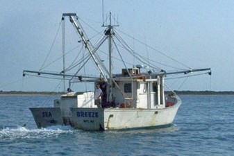 New Rules for Shrimp Trawls Effective July 1