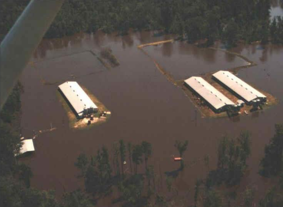 Floodwaters from Hurricane Floyd in 1999 breach hog waste lagoons in the eastern North Carolina. Photo: Division of Soil and Water Conservation