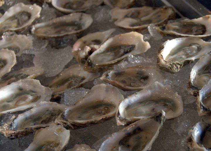 Oysters served on the half-shell. File photo