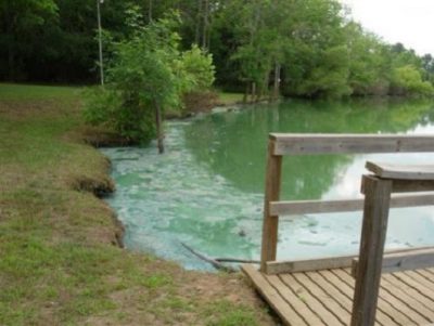 N.C. Department of Environmental Quality officials recommend that the public steer clear of an algal bloom in the Chowan River. Photo: NCDEQ  