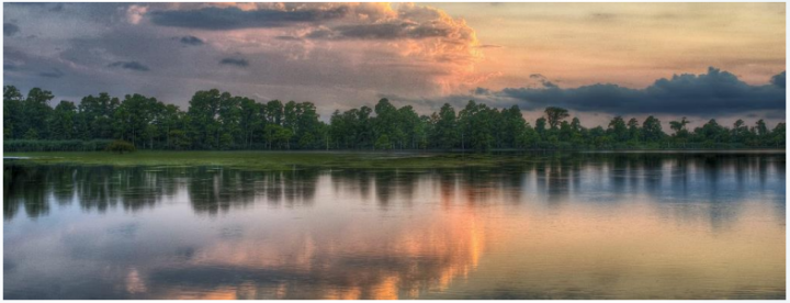 Alliance Seeks to Restore Lake Mattamuskeet | Coastal 