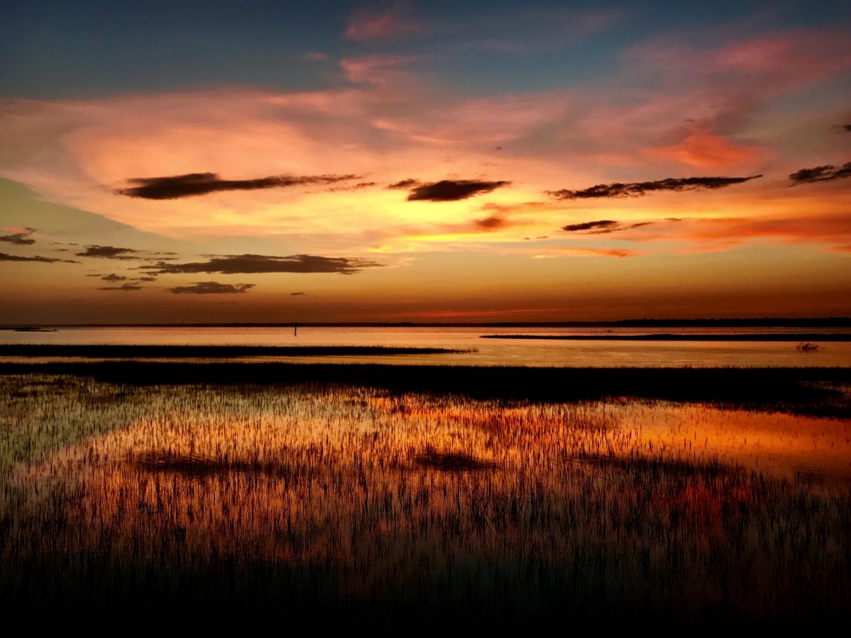 Estuaries are where fresh water from rivers mixes with salt water from the ocean. Photo: Sam Bland