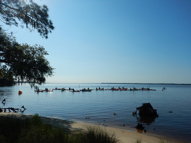 Agencies Observe Estuaries Week with MOU - Coastal Review Online