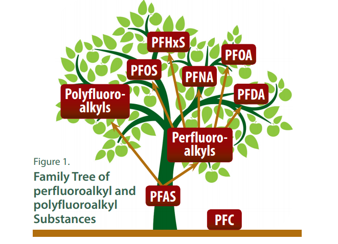 This family tree image shows some of the different families of PFAS. PFC, or perfluorinated chemicals, are represented by a fallen apple because the term isn't used much anymore. The PFAS family includes hundreds of chemicals. The different structures of the PFAS molecules are the basis for different chemical properties and different chemical names.  Source: Agency for Toxic Substances and Disease Registry