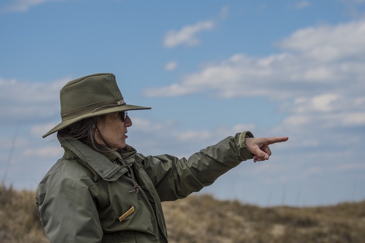 Cape Lookout National Seashore's wildlife biologist Dr. Sue Stuska in the field. Photo: National Park Service