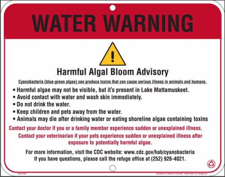 Signs with this message are frequently posted at Lake Mattamuskeet.