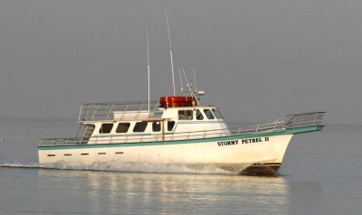 How To Get The Raptor Boat In Sharkbite