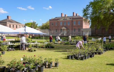 Tryon Palace To Highlight Eastern Nc Plants Coastal Review