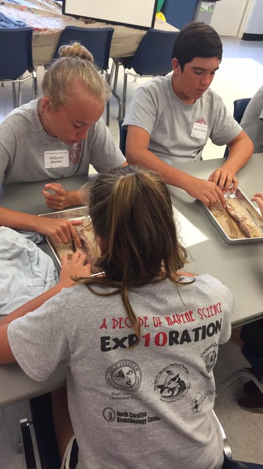 Marine Science Academy Applications Open Coastal Review