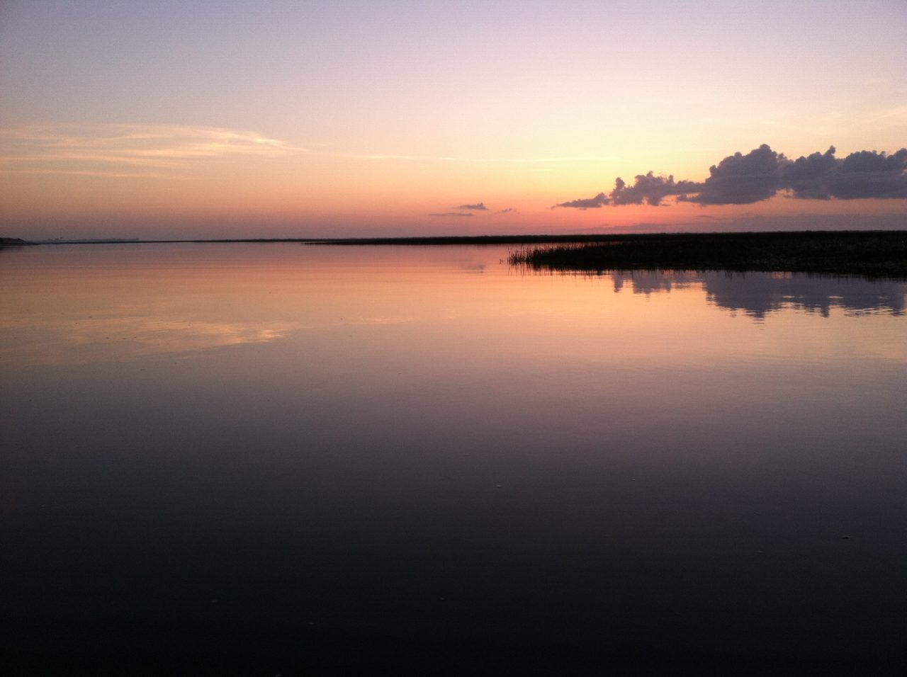 Masonboro Island Reserve. Photo: Division of Coastal Management