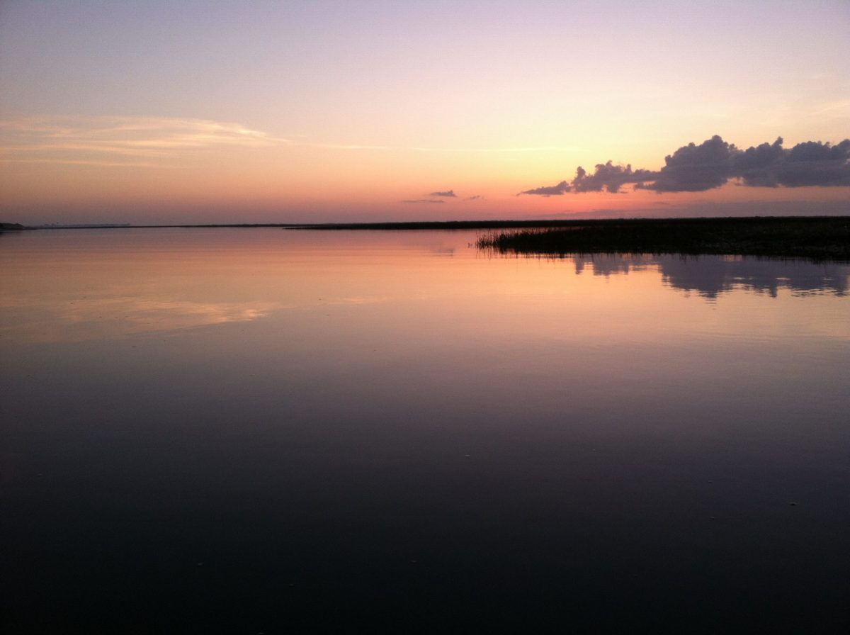 Masonboro Island Reserve. Photo: Division of Coastal Management