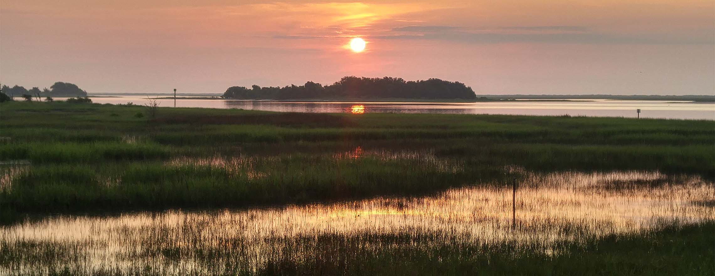 Masonboro Island Reserve. Photo: Division of Coastal Management