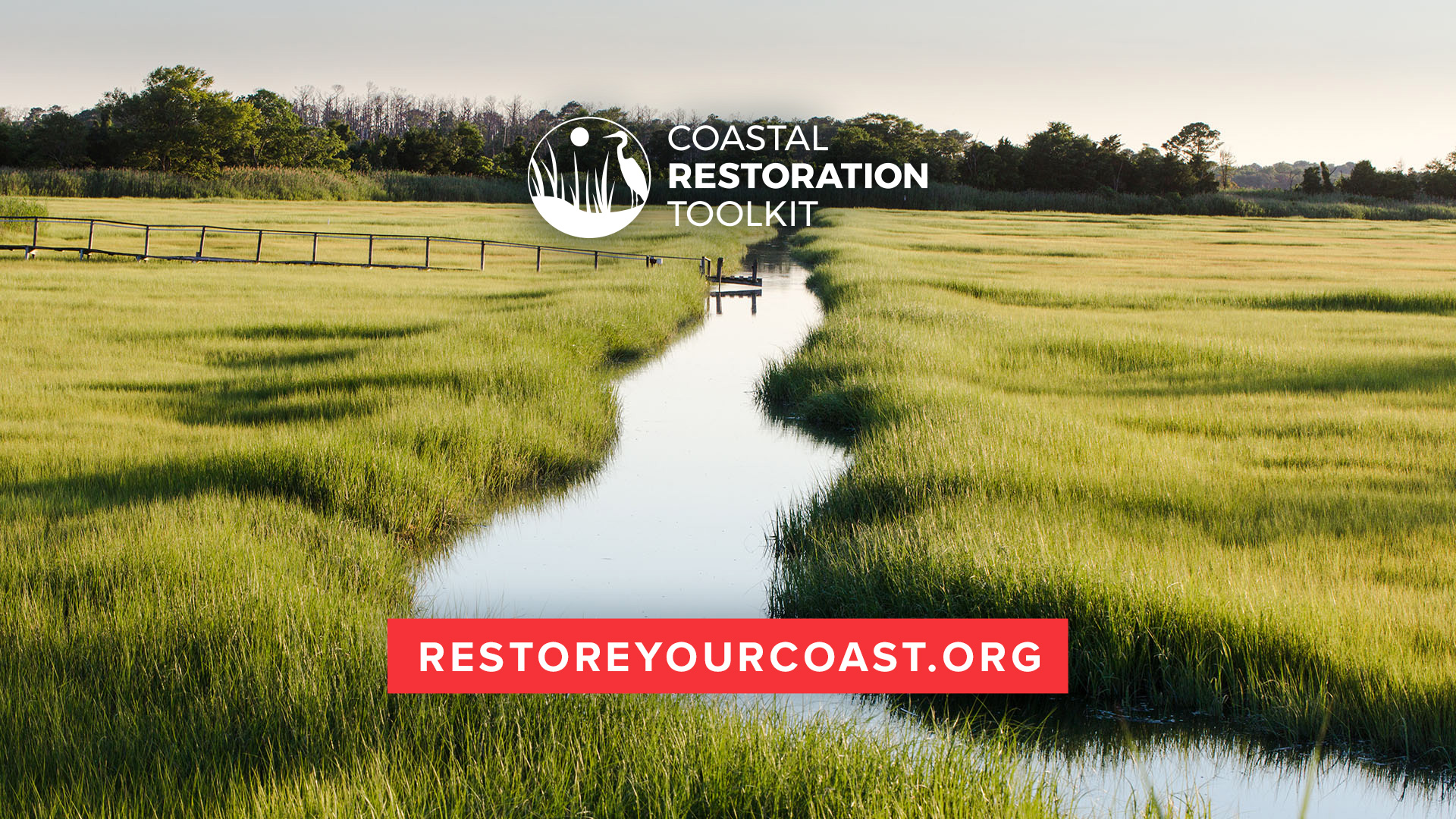 Online Coastal Restoration Toolkit Launches Coastal Review