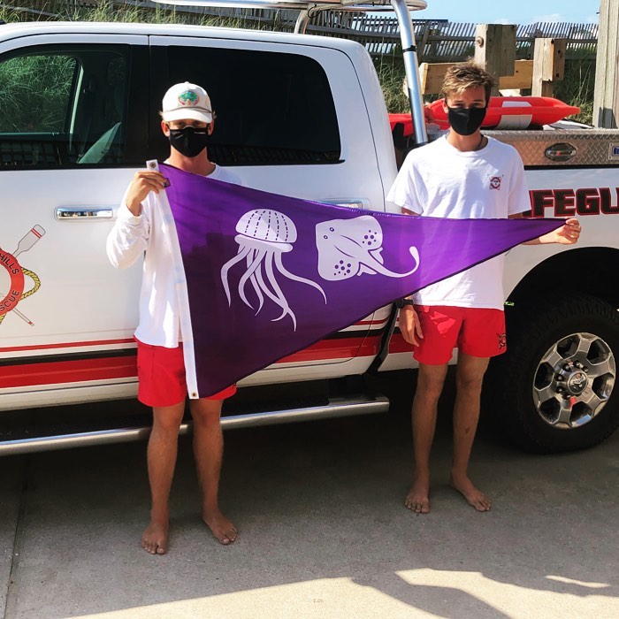 Sea Nettles Nettle Some OBX Beachgoers | Coastal Review