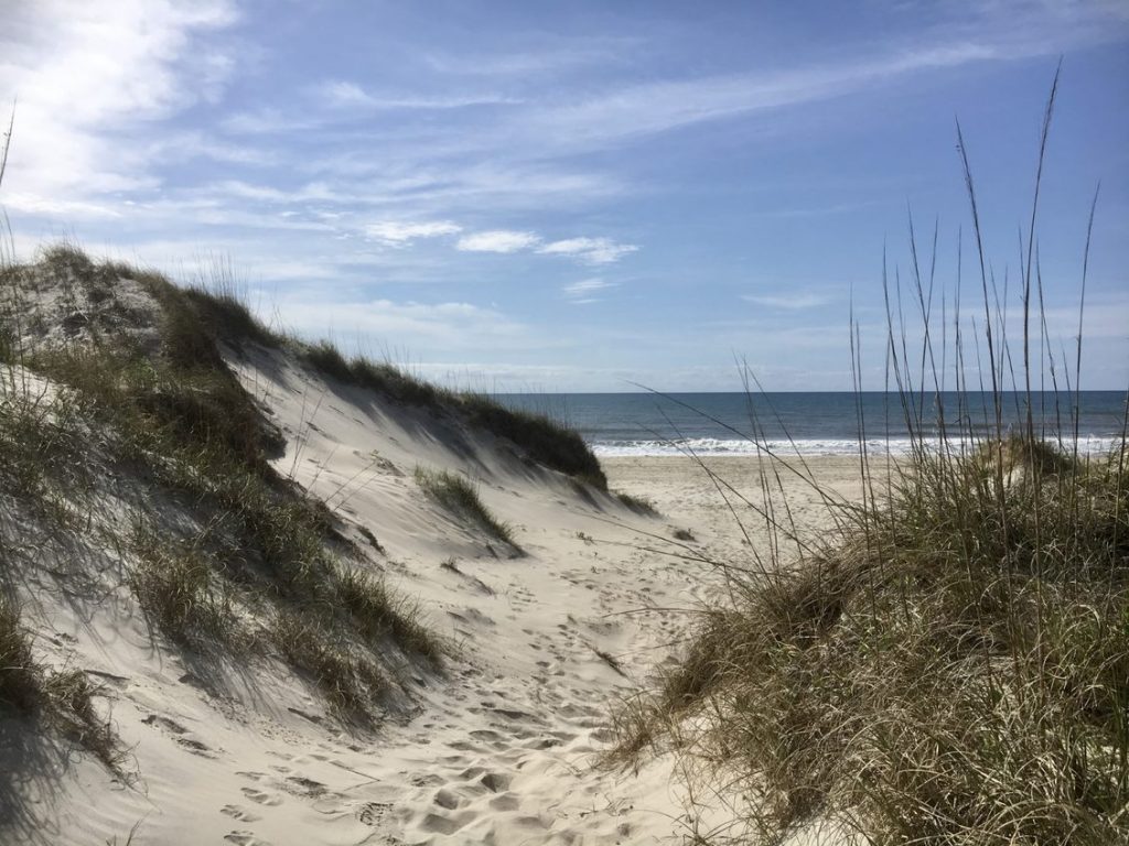 Social trail from the Ocracoke Campground to an ocean-facing beach. Photo: National Park Service