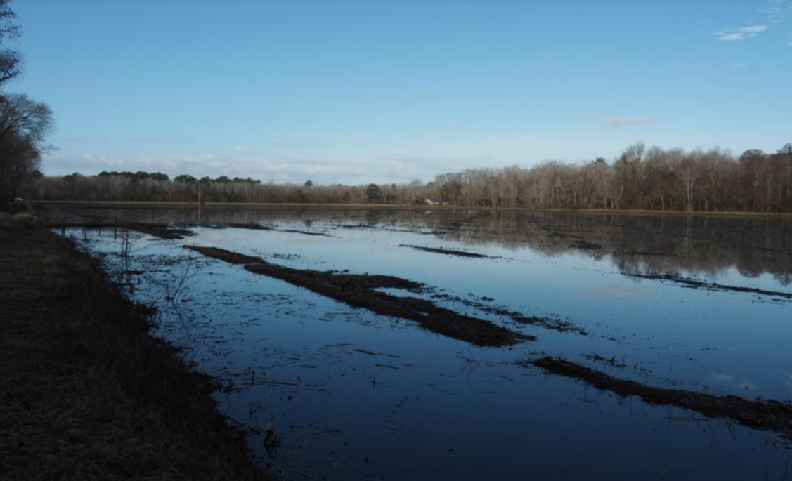 Flooded cropland near Lake Mattamuskeet. File photo