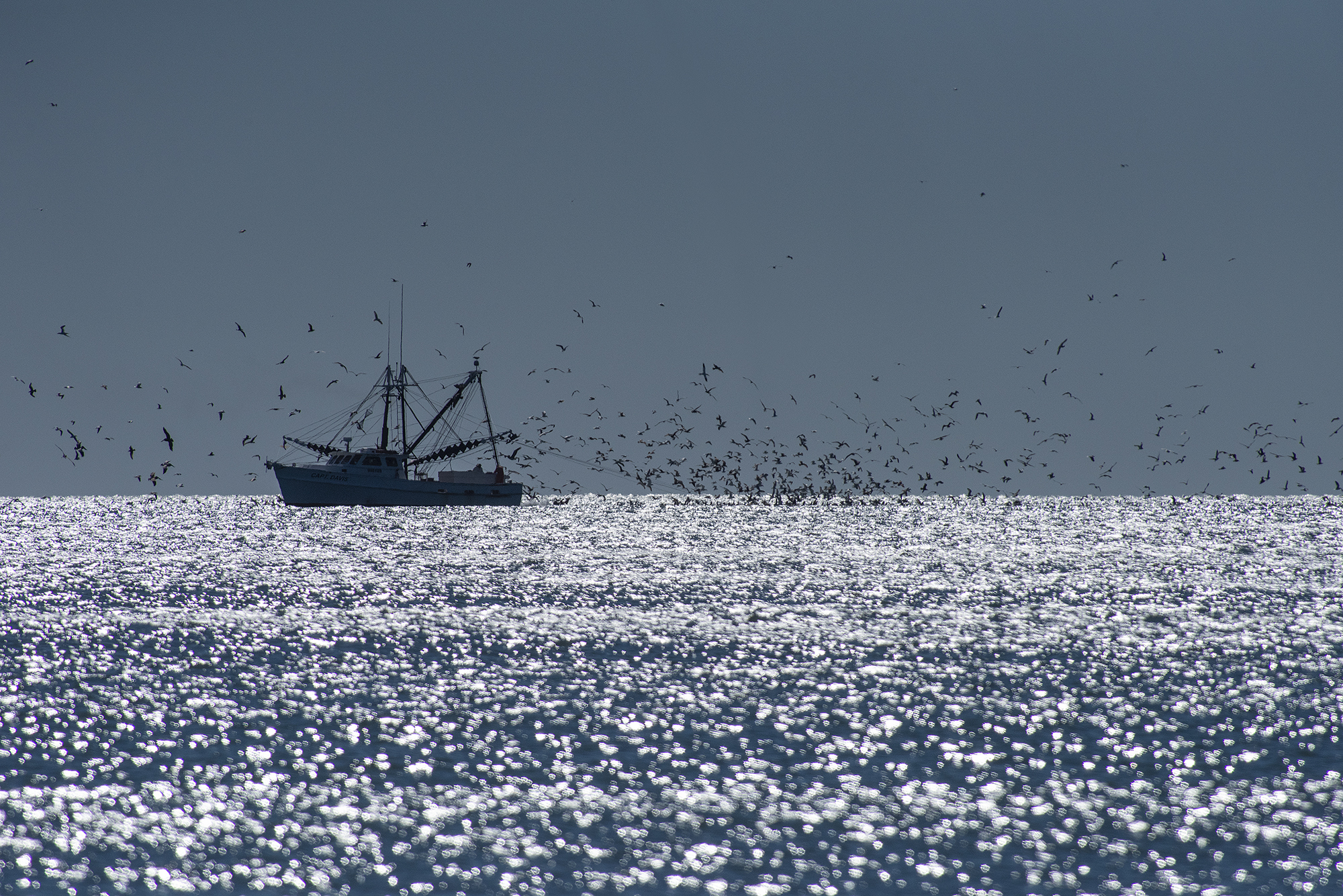 A trawler cruises northeast off Topsail Island. Photo: Dylan Ray