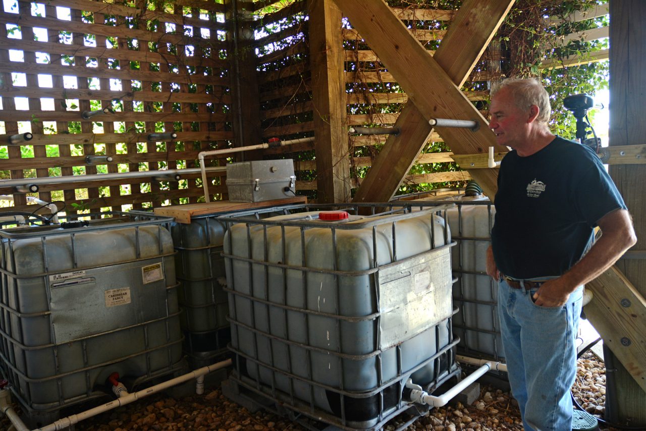 Tom Byers of Kitty Hawk explains the system of cisterns used for irrigation and other purposes around the home. Photo: Kip Tabb