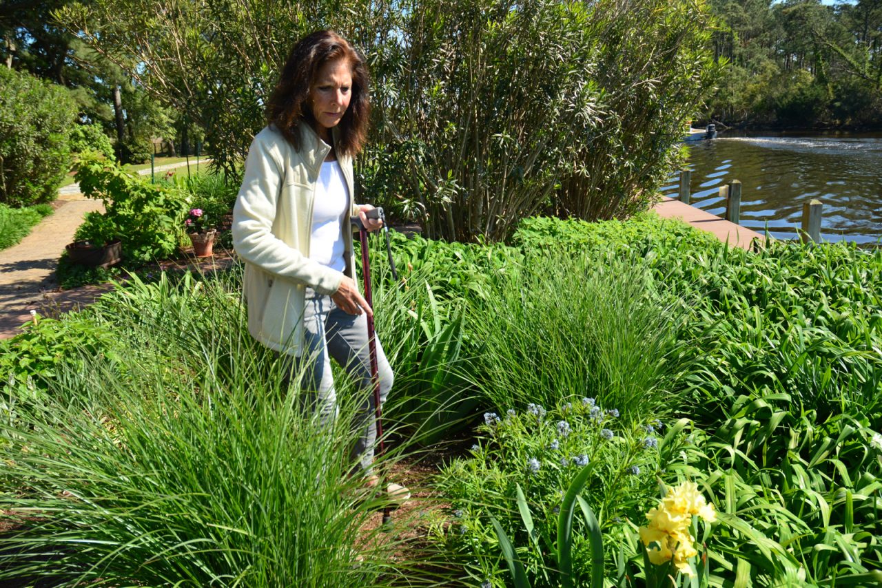 Vickie Byers shows off the native plants in her garden, which is irrigated with captured rainwater, at her home in Kitty Hawk. Photo: Kip Tabb