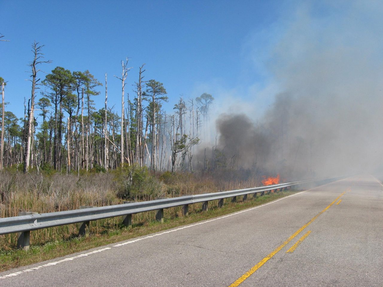 The Whipping Creek Road Fire began on the afternoon of April 18, 2016 near the Hyde and Dare County line. It began on private land but quickly moved onto the Alligator River National Wildlife Refuge and US Air Force's Dare Bombing Range.