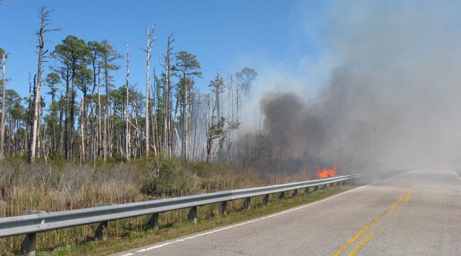 The Whipping Creek Road Fire began on the afternoon of April 18, 2016 near the Hyde and Dare County line. It began on private land but quickly moved onto the Alligator River National Wildlife Refuge and US Air Force's Dare Bombing Range.