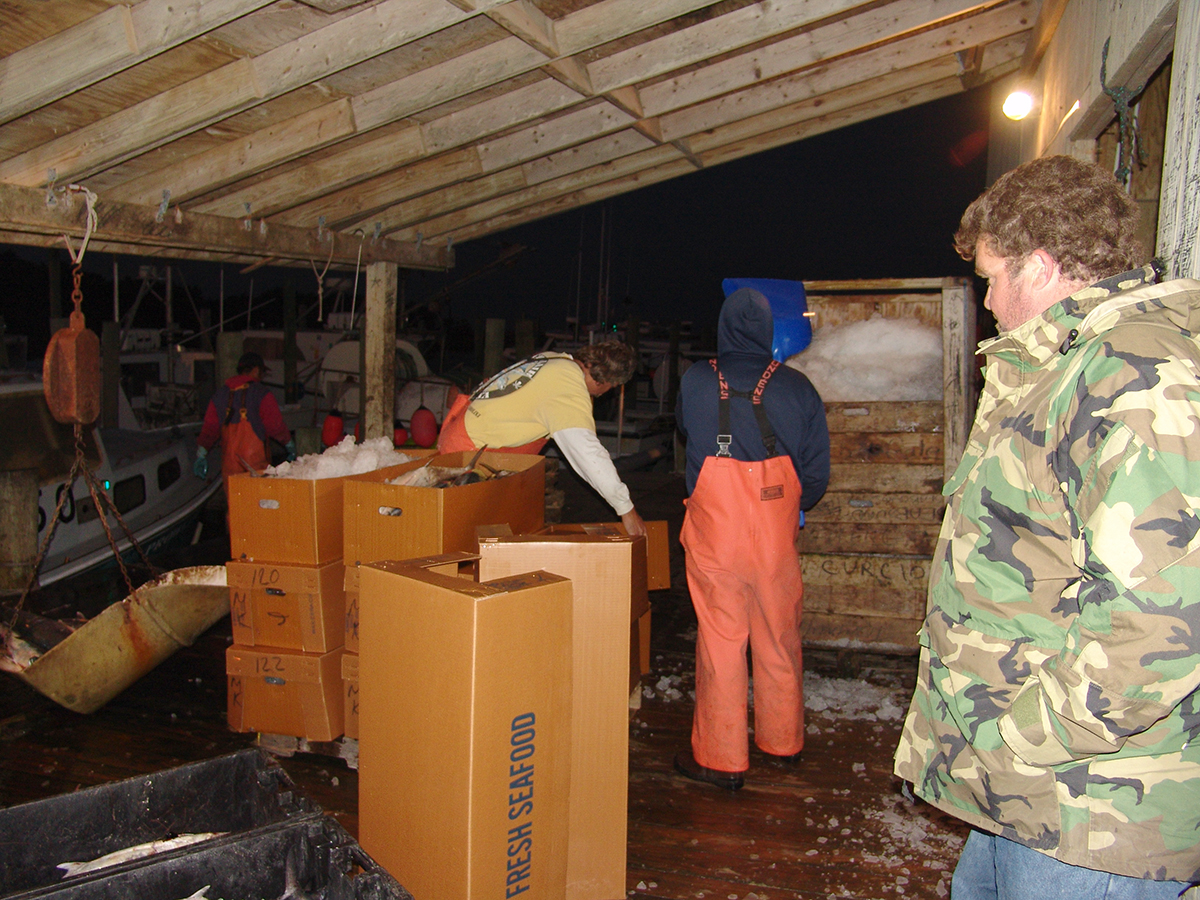 Robert Harrison, right, oversees the packing of his boat, the F/V Prowler's hook-and-line catch of King Mackerel in Hatteras Village in November 2007, the main fall fishery on the Outer Banks for hook-and-line boats. Photo: Vicki Harrison