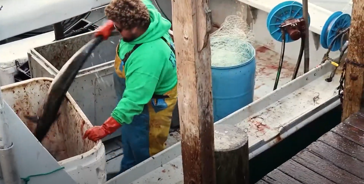 Graham Harrison unloads king mackerel on Christmas Eve 2020. Photo: Alana Harrison