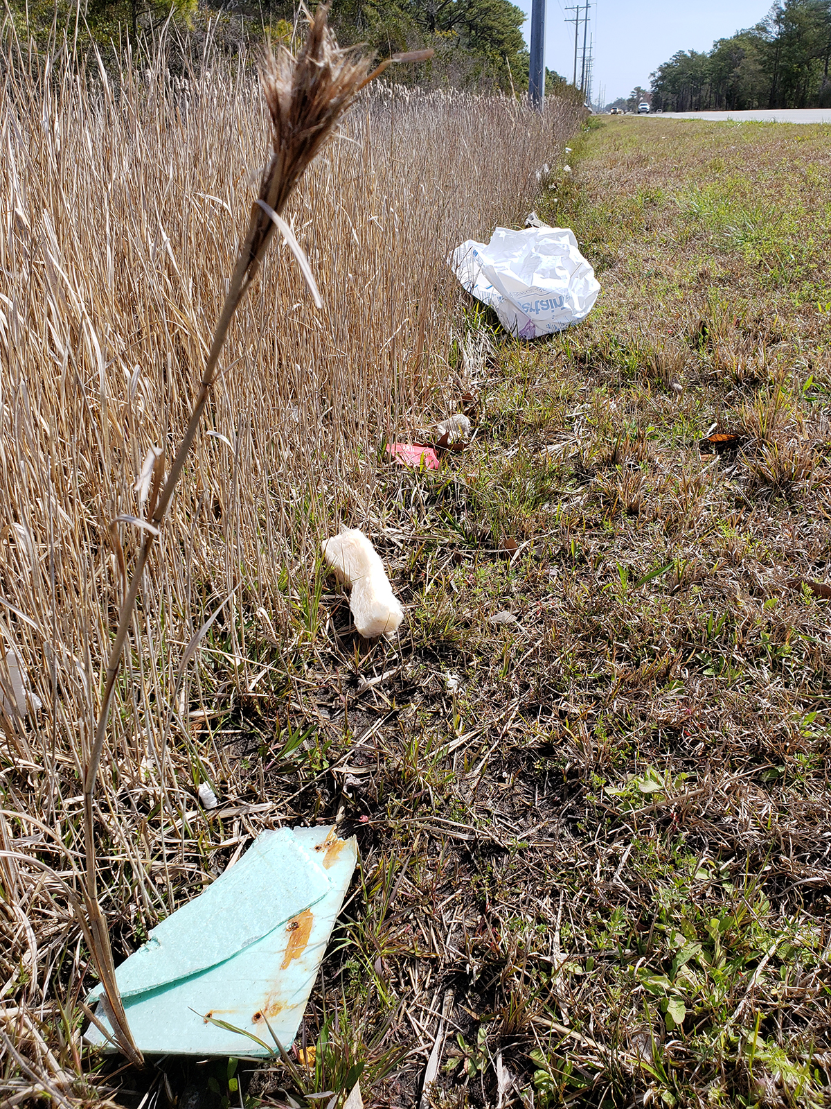 Litter on the roadside. Photo: File