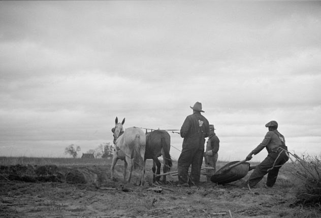 Getting ready for spring planting, probably Halifax County, N.C, 1934. Photo by Carl Mydans/U.S. Resettlement Administration. Courtesy, Library of Congress
