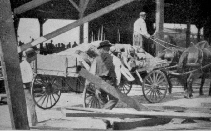 The Galveston hurricane drowned so many people that relief workers loaded many of the corpses onto carts for burial at sea. Courtesy, NOAA Photo Library

