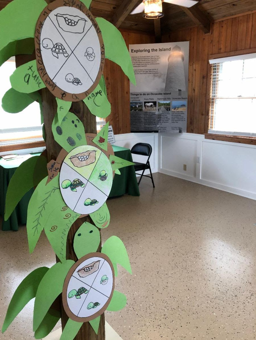 After completing an activity at the activity corner, visitors can display their finished work inside the Discovery Center. Photo: National Park Service 