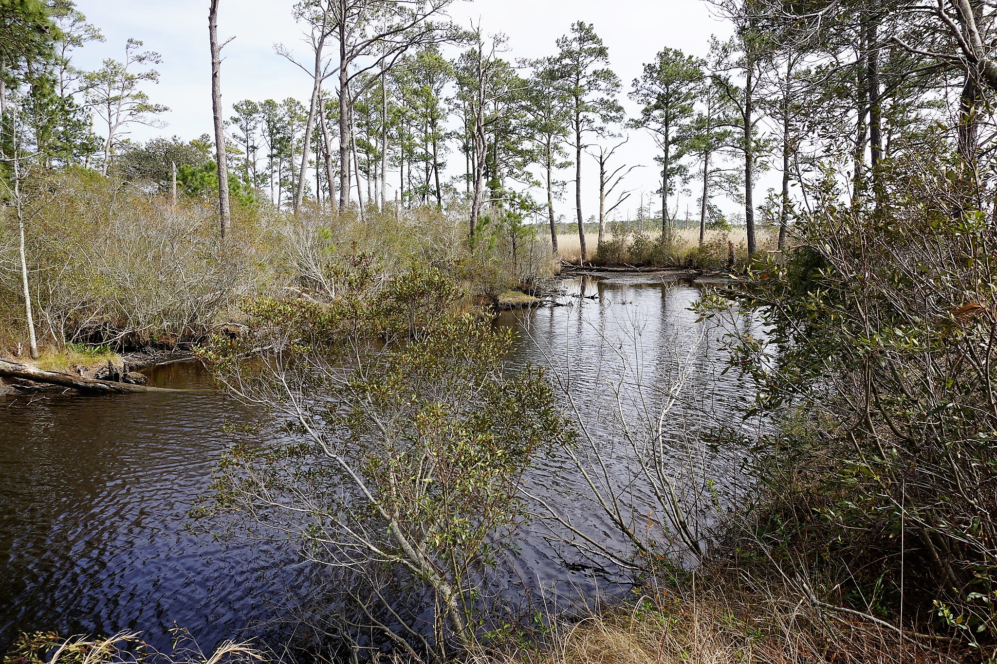 Interior expands Mackay Island Refuge hunting access Coastal Review