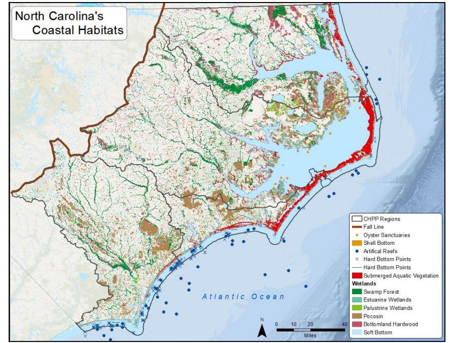 EMC to hear Coastal Habitat Protection Plan presentation | Coastal Review