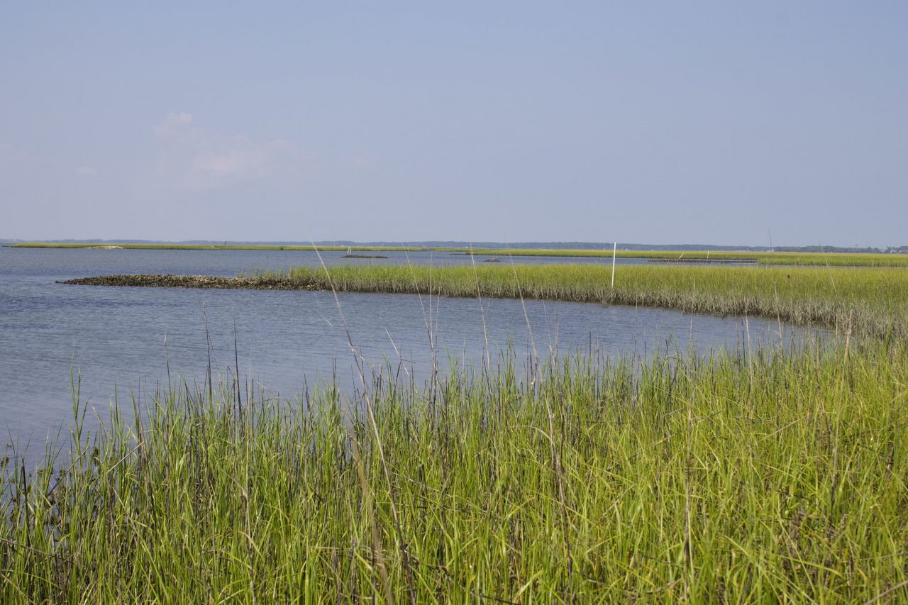 Middle Marsh near Beaufort and Harkers Island. Photo: Photo credit: E. Woodward/UNC Institute of Marine Sciences