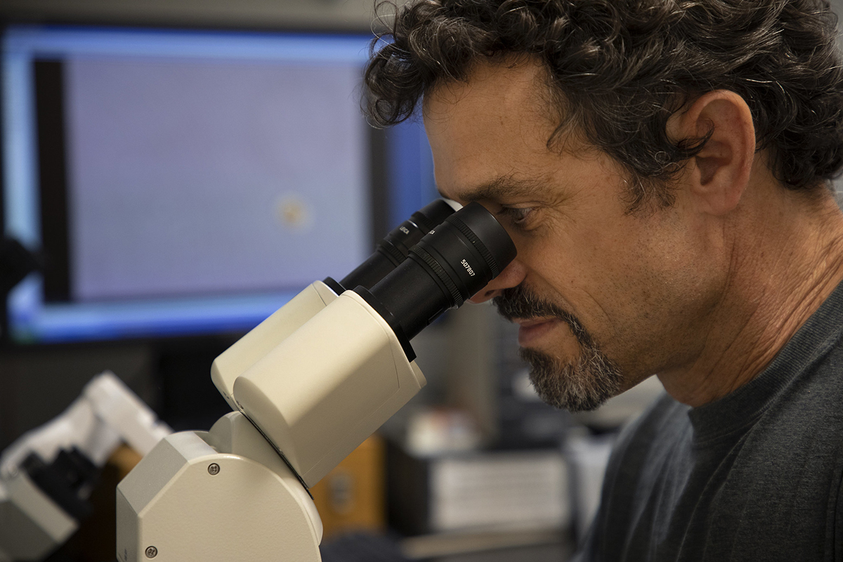 Nathan Hall in the lab. Photo: UNC