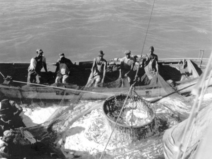 Black and White Photo, Shipwreck Photo, Fishing Net, Minimalist