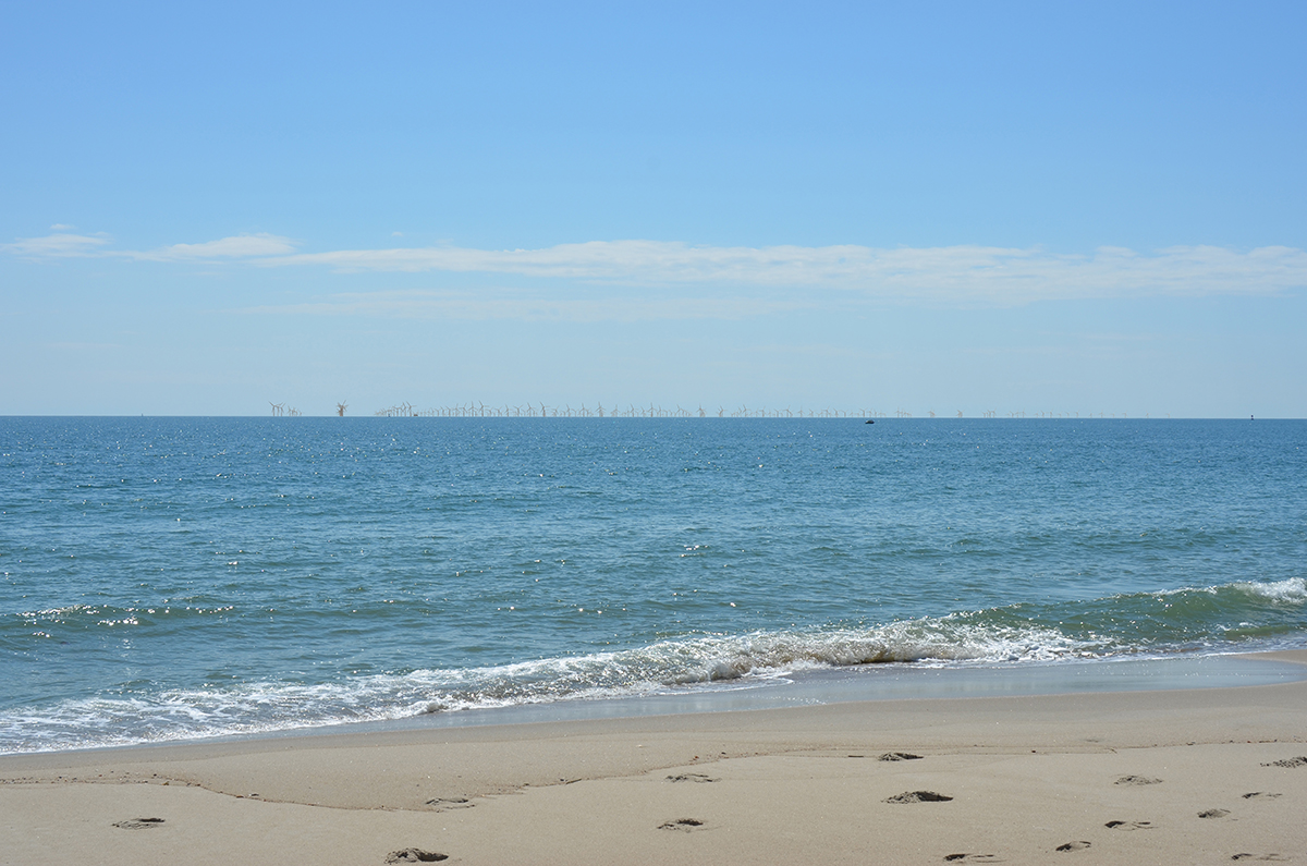 A simulated late-afternoon view from Bald Head Island depicts how a 200-turbine wind facility in the Wilmington West WEA would appear 10 nautical miles offshore. Image: BOEM