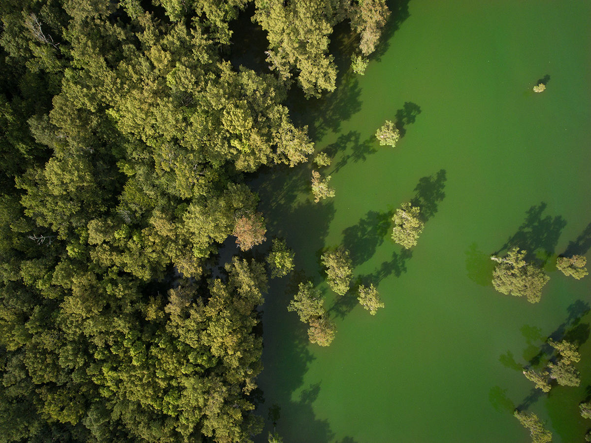 Study links timing of blue-green blooms, airborne particles