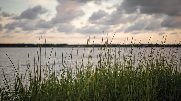 The approval of the 2021 amendment to the Coastal Habitat Protection Plan was one of the many actions by NCDEQ this year. Photo: NCDEQ 