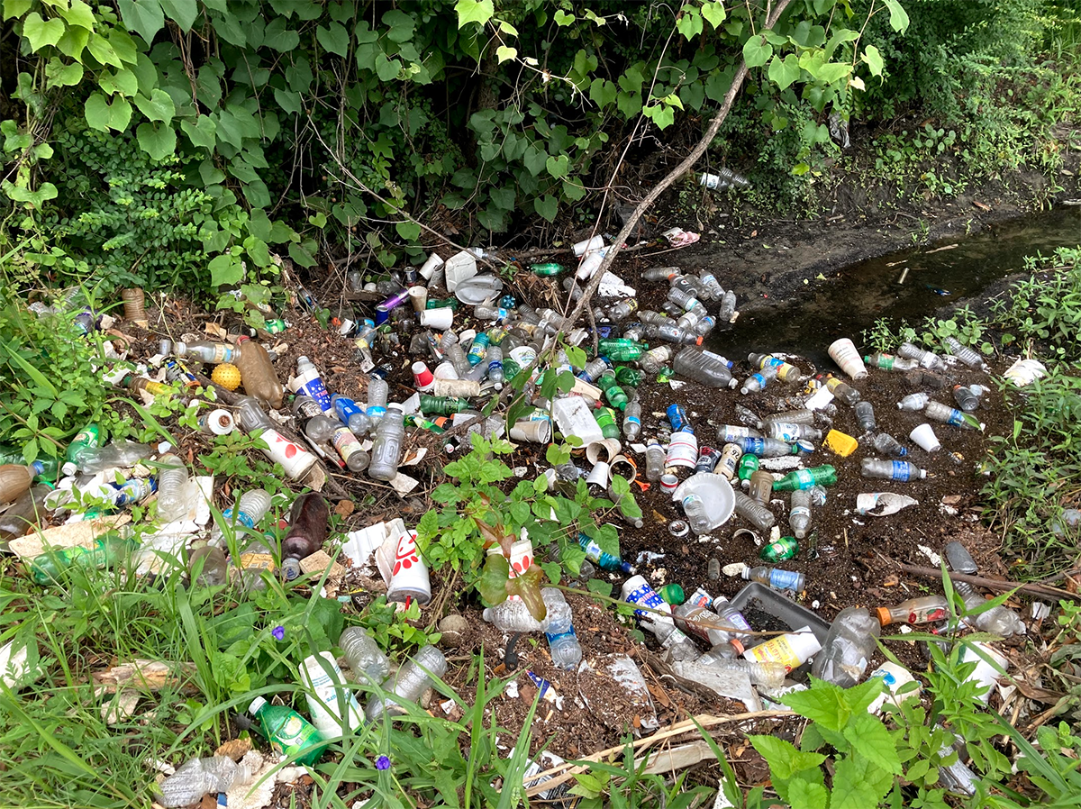 Garbage collects in a ditch off Front Street in Wilmington. Photo courtesy of Cape Fear River Watch