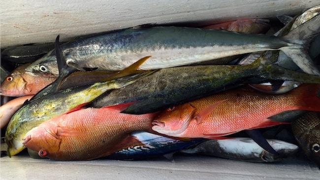 Winter fishing comes with perils, discomfort, big rewards