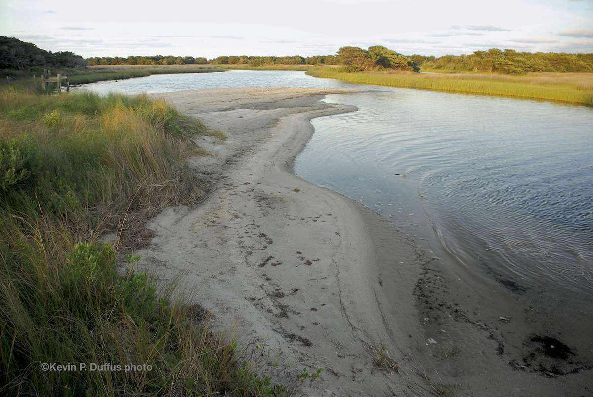 The Old Slough, Ocracoke Island. Photo: Kevin P. Duffus