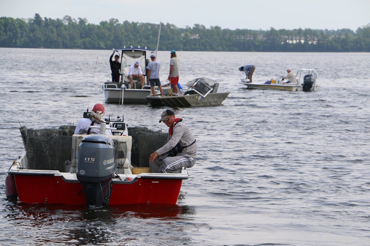 New River Estuary Oyster Highway. Photo: City of Jacksonville