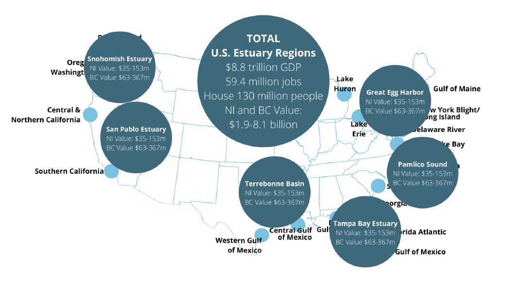 This table shows the estuaries studied for this report update. NI stands for natural infrastructure and BC is blue carbon. Image: The Economic Value of America’s Estuaries