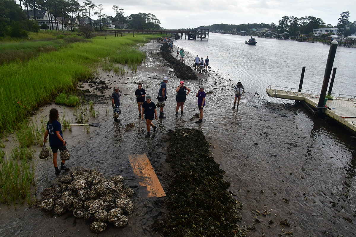 This view of the town's living shoreline shows bagged oysters being placed, as well as an opening for a kayak launch. Photo: The Royal Order of the Honorary St. James Oysters  