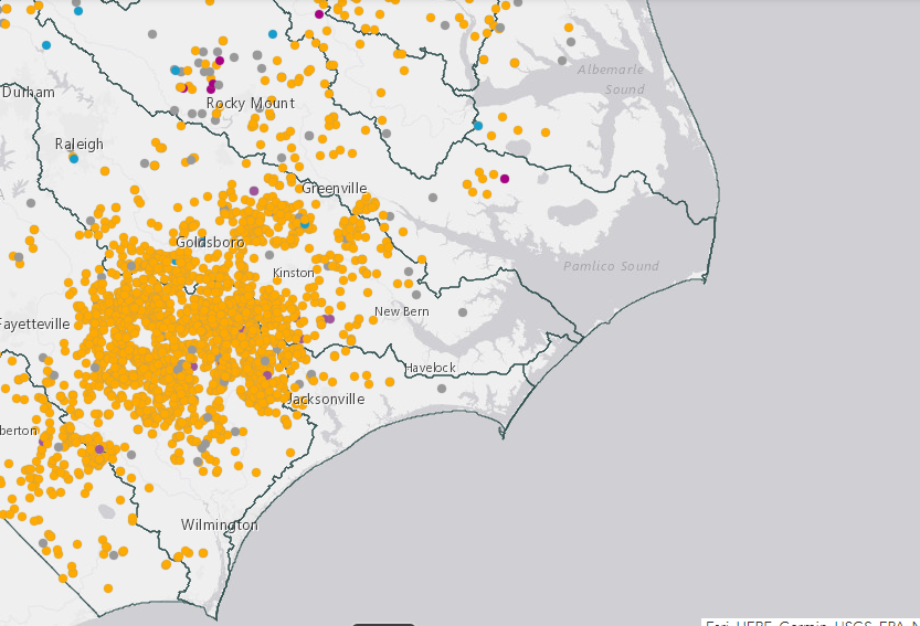 This map shows the locations of concentrated animal feeding operations permitted in eastern North Carolina. Map: N.C. Department of Environmental Quality