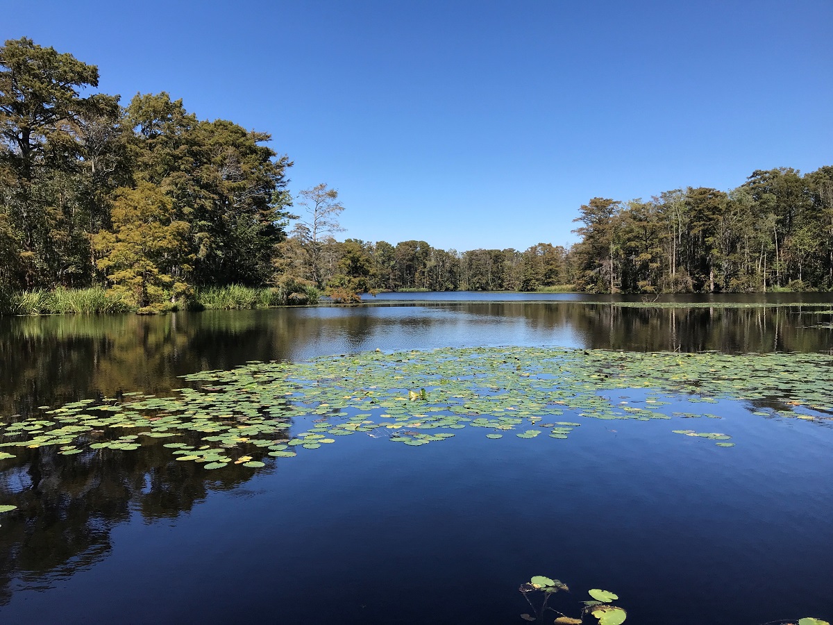 Thomas Frank - Principal - Heritage Conservation Carolina