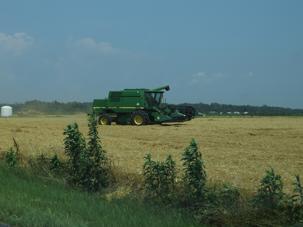 A farm operation in Hyde County. Photo: Ken Lund, Creative Commons